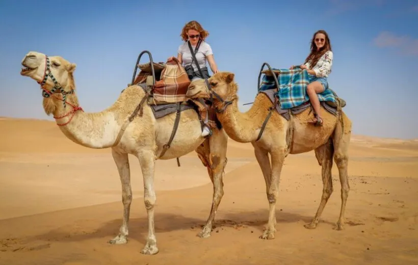 Camel Ride in Agadir