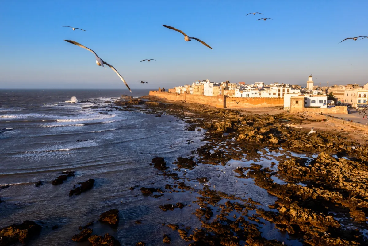 Day Trip to Essaouira from Agadir