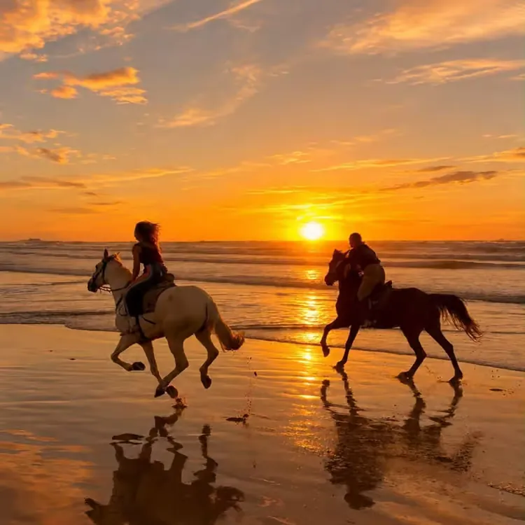 Horse Riding in Agadir